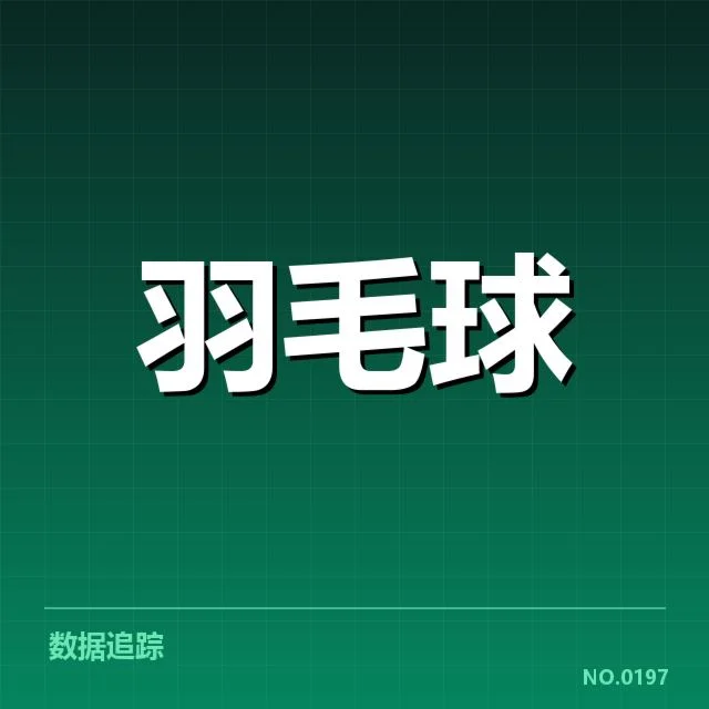 女双战术配合解读：背后策略与队员合作的深层逻辑